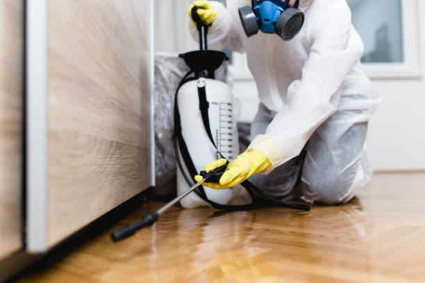 Professional Pest Control in Pace, FL