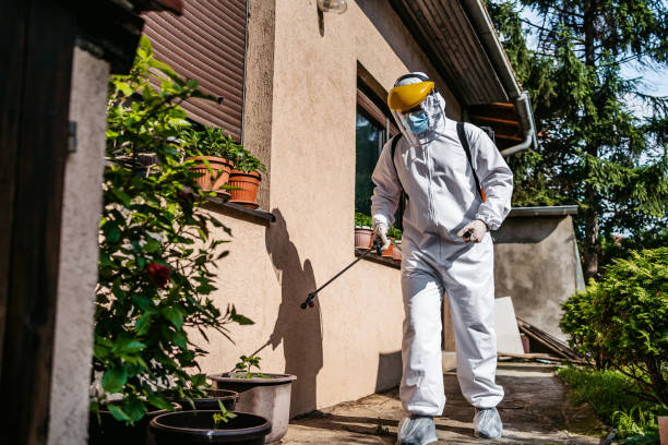Insect Control in Pace, FL