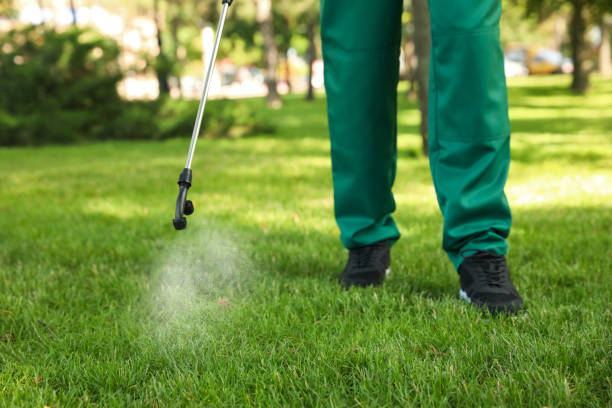 Best Pest Removal Services  in Pace, FL