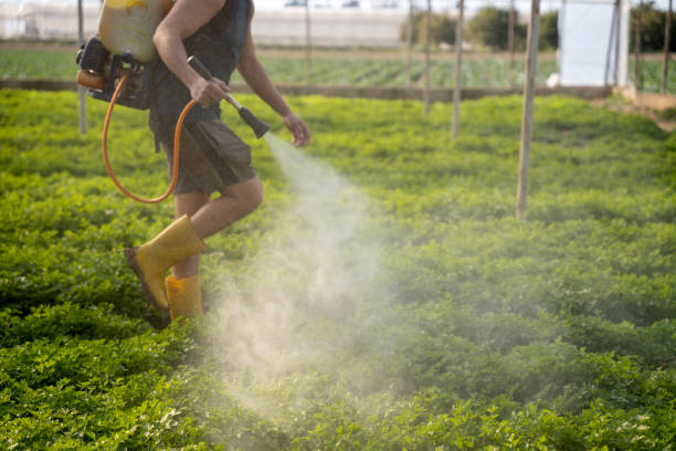Best Best Pest Control Companies  in Pace, FL