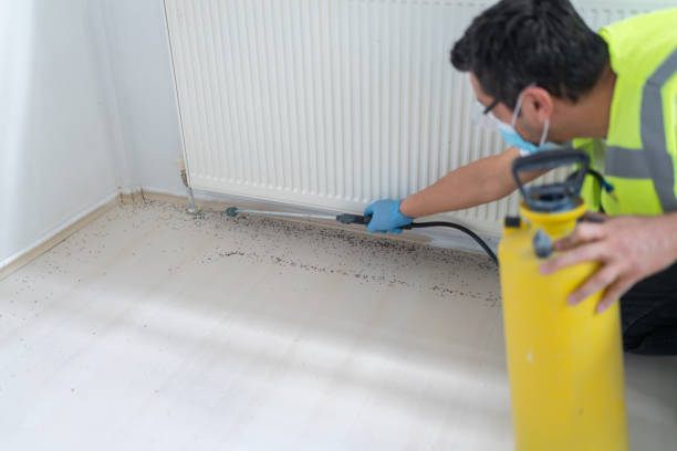 Best Pest Control for Restaurants  in Pace, FL
