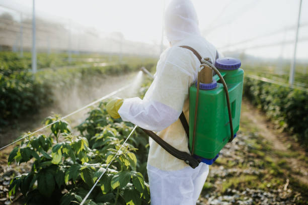 Best Bed Bug Extermination  in Pace, FL